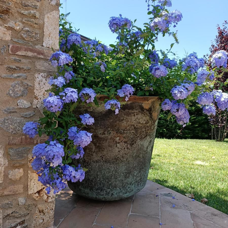 Bed and Breakfast Casale1918 Pietrasanta Exterior foto